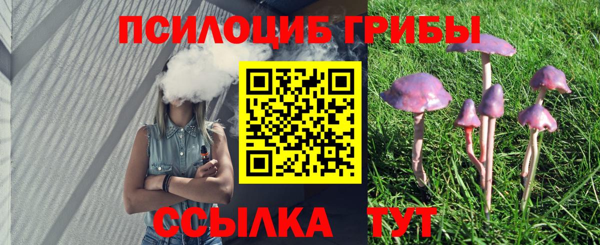 Удомля  Галлюциногенные грибы Psilocybe  Вход с VPN  Псилоцибиновые грибы Cubensis 