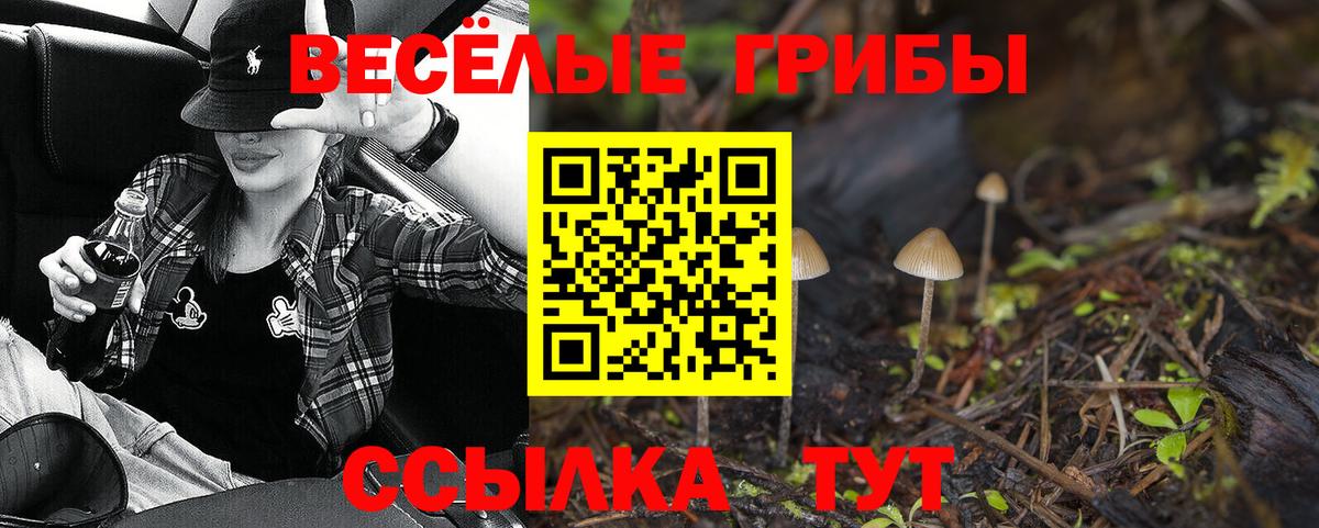Псилоцибиновые грибы GOLDEN TEACHER Удомля
